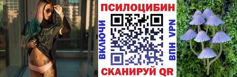 наркошоп  Екатеринбург  Псилоцибиновые грибы GOLDEN TEACHER 