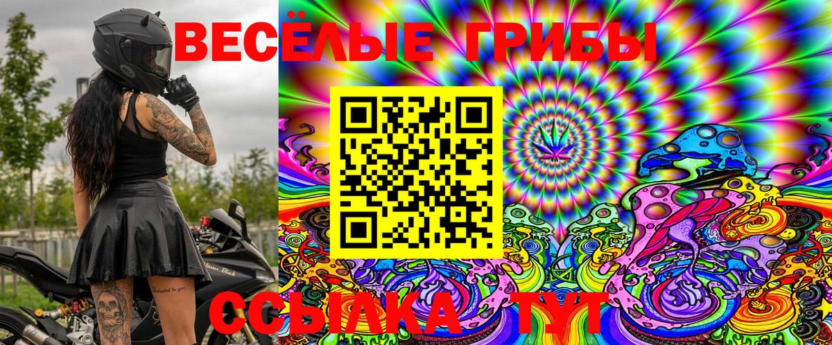 Псилоцибиновые грибы MAGIC MUSHROOMS Екатеринбург