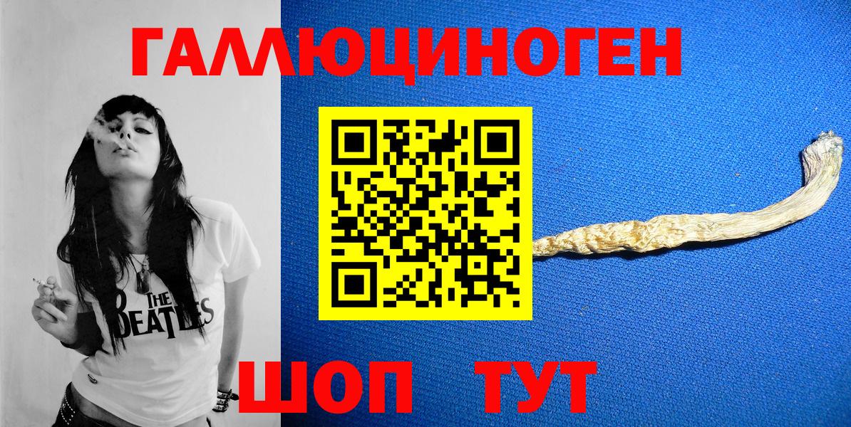 Псилоцибиновые грибы прущие грибы  Галлюциногенные грибы Psilocybine cubensis  Екатеринбург 