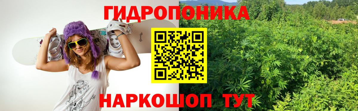 Шишки марихуана конопля Екатеринбург